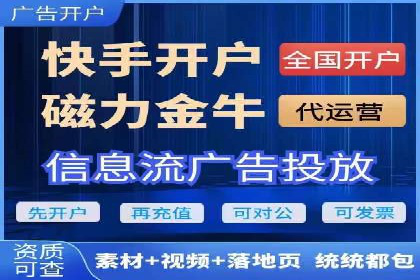 深入剖析SEM公司成功案例：数据驱动的广告策略